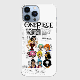 Чехол для iPhone 13 Pro Max с принтом Пираты Соломенной Шляпы One Piece в женском образе в Кировске,  |  | anime | manga | monkey d. luffy | one piece | аниме | большой куш | ван пис | вон пис | гол д. роджер | кайдо | король пиратов | луфи | луффи | манга | манки д. луффи | нами | нико робин | пират | портгас д. эйс | ророноа зоро