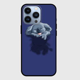 Чехол для iPhone 13 Pro с принтом Спящая коала в Кировске,  |  | koala | арт | детеныш | детёныш коалы | животное | зверь | карман на груди | коала | малыш | медведь | медвежонок | милота | милые животные | милые звери | милые зверьки | мимими | мишка | ребенок