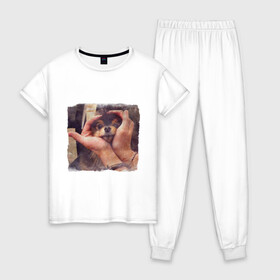Женская пижама хлопок с принтом 8 мембер в Кировске, 100% хлопок | брюки и футболка прямого кроя, без карманов, на брюках мягкая резинка на поясе и по низу штанин | bts | ёнтан | животные | собака | тэхен