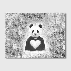 Альбом для рисования с принтом Панда Любовь Сердце Меланж  в Кировске, 100% бумага
 | матовая бумага, плотность 200 мг. | animals | beast | panda | глаза | животные | звери | краски | любовь | меланж | милые | панда | пятна | растения | сердце | серый | цветы | чб | эвкалипт