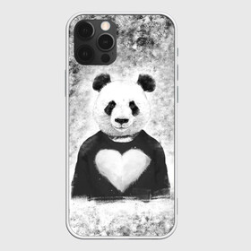 Чехол для iPhone 12 Pro Max с принтом Панда Любовь Сердце Меланж  в Кировске, Силикон |  | animals | beast | panda | глаза | животные | звери | краски | любовь | меланж | милые | панда | пятна | растения | сердце | серый | цветы | чб | эвкалипт