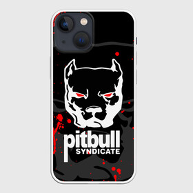 Чехол для iPhone 13 mini с принтом PITBULL SYNDICATE   ПИТБУДЬ в Кировске,  |  | games. | pitbull syndicate | игры | питбудь синдикат | питбуль | разработчик игр | собака | эрик давидыч