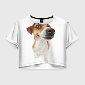 Женская футболка Crop-top 3D с принтом Собака в Кировске, 100% полиэстер | круглая горловина, длина футболки до линии талии, рукава с отворотами | dog | джек | джек рассел | джек рассел терьер | дог | домашние животные | рассел | рассел терьер | собака | собаки | терьер