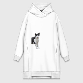 Платье-худи хлопок с принтом смотрящая кошка в Кировске,  |  | голова | домашнее животное | животное | зверь | кот | котёнок | кошка