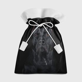 Подарочный 3D мешок с принтом Кане-корсо | собака в Кировске, 100% полиэстер | Размер: 29*39 см | Тематика изображения на принте: dog | домашние животные | кане корсо | питбуль | собака | собаки