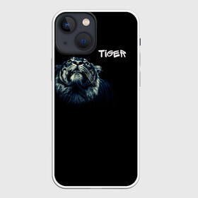 Чехол для iPhone 13 mini с принтом Тигр в Кировске,  |  | дикие животные | надпись | синий | тигр