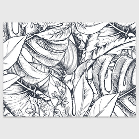 Поздравительная открытка с принтом Тропические листья в Кировске, 100% бумага | плотность бумаги 280 г/м2, матовая, на обратной стороне линовка и место для марки
 | plants | растения | тропические листья | цветы | чёрно белые листья