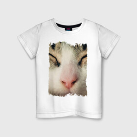 Детская футболка хлопок с принтом Котик в Кировске, 100% хлопок | круглый вырез горловины, полуприлегающий силуэт, длина до линии бедер | домашние животные | животные | забавные животные | кот | нос | нос кота | полосатый кот | розовый нос