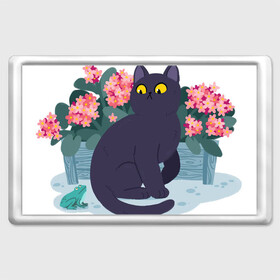 Магнит 45*70 с принтом Кот, лягушка и клумба в Кировске, Пластик | Размер: 78*52 мм; Размер печати: 70*45 | Тематика изображения на принте: арт | клумба | космос | кот | котейка | кошка | лягушка | рисунок | розовые цветы | розовый цветок | цветы | чёрная кошка | чёрный кот