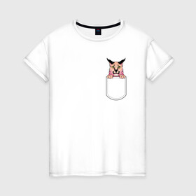 Женская футболка хлопок с принтом Шлёпа в кармане в Кировске, 100% хлопок | прямой крой, круглый вырез горловины, длина до линии бедер, слегка спущенное плечо | Тематика изображения на принте: flopa | floppa | каракал | кот мем | мем с котом | русский кот | шлёпа