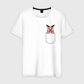 Мужская футболка хлопок с принтом Шлёпа в кармане в Кировске, 100% хлопок | прямой крой, круглый вырез горловины, длина до линии бедер, слегка спущенное плечо. | Тематика изображения на принте: flopa | floppa | каракал | кот мем | мем с котом | русский кот | шлёпа