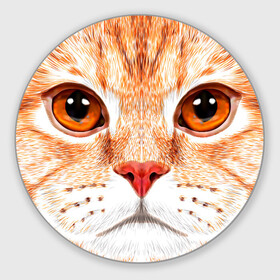 Коврик для мышки круглый с принтом Мур Мяу в Кировске, резина и полиэстер | круглая форма, изображение наносится на всю лицевую часть | cat | kitty | pussycat | киса | кот | кошечка | кошка