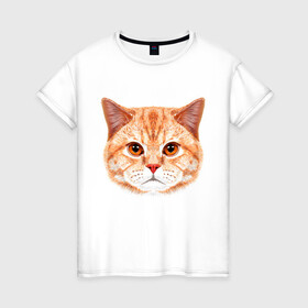 Женская футболка хлопок с принтом Мур Мяу в Кировске, 100% хлопок | прямой крой, круглый вырез горловины, длина до линии бедер, слегка спущенное плечо | cat | kitty | pussycat | киса | кот | кошечка | кошка