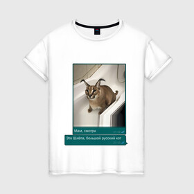 Женская футболка хлопок с принтом Шлёпа в Кировске, 100% хлопок | прямой крой, круглый вырез горловины, длина до линии бедер, слегка спущенное плечо | Тематика изображения на принте: каракал | кот | мемы | русский кот | рысь | шлёпа