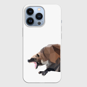 Чехол для iPhone 13 Pro с принтом Росомаха в Кировске,  |  | животное | зверь | злость | куница | медведь | милое животное | полигональный | росомаха | собака
