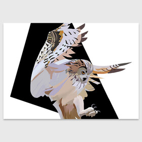 Поздравительная открытка с принтом Сова в деле в Кировске, 100% бумага | плотность бумаги 280 г/м2, матовая, на обратной стороне линовка и место для марки
 | арт | дикие животные | дикие звери | дикие птицы | животное | животные | лягушка | охота | природа | птица | птицы | рисунок | сова