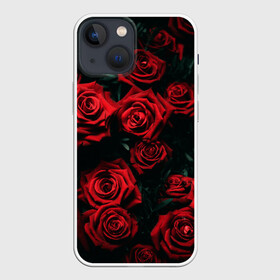 Чехол для iPhone 13 mini с принтом РОЗЫ НА ЧЁРНОМ ФОНЕ в Кировске,  |  | аромат | любовь | растения | розы | текстура | цветы | шипы