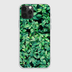 Чехол для iPhone 12 Pro с принтом Барвинок  в Кировске, силикон | область печати: задняя сторона чехла, без боковых панелей | art | ветви. | зелень | листья | натуральное | природа | растение