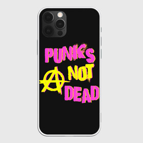 Чехол для iPhone 12 Pro Max с принтом Панк анархия в Кировске, Силикон |  | alternative | music | punk | punks not dead | rock | альтернатива | музыка | панк | панки не умерают | панкс нот дэд | рок