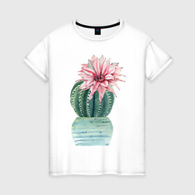 Женская футболка хлопок с принтом Кактус в Кировске, 100% хлопок | прямой крой, круглый вырез горловины, длина до линии бедер, слегка спущенное плечо | акварель | кактус | растения | рисунок | цветок