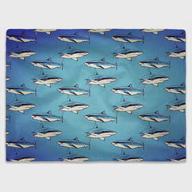 Плед 3D с принтом Акулы Паттерн в Кировске, 100% полиэстер | закругленные углы, все края обработаны. Ткань не мнется и не растягивается | shark | акулы | иллюстрация | морские жители | морские обитатели | паттерн | рисунок | рыбы