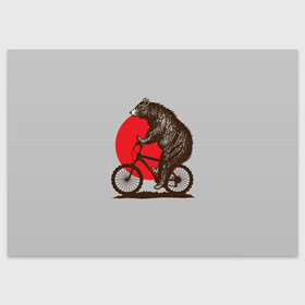 Поздравительная открытка с принтом Медведь на велосиеде в Кировске, 100% бумага | плотность бумаги 280 г/м2, матовая, на обратной стороне линовка и место для марки
 | вело | велосипед | медведь | солнце | спорт | япония