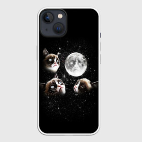 Чехол для iPhone 13 с принтом ГРУСТНЫЕ ЛУННЫЕ КОТЫ в Кировске,  |  | Тематика изображения на принте: cat | cosmo | face | memes | night | sky | stars | голова | звезды | интернет | космос | коты | кошки | лицо | луна | мем | ночь | отражение | прикол | рисунок
