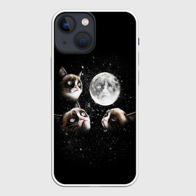 Чехол для iPhone 13 mini с принтом ГРУСТНЫЕ ЛУННЫЕ КОТЫ в Кировске,  |  | cat | cosmo | face | memes | night | sky | stars | голова | звезды | интернет | космос | коты | кошки | лицо | луна | мем | ночь | отражение | прикол | рисунок