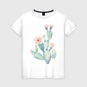 Женская футболка хлопок с принтом Нежный акварельный кактус  в Кировске, 100% хлопок | прямой крой, круглый вырез горловины, длина до линии бедер, слегка спущенное плечо | акварель | кактус | колючий | нежный акварельный кактус | растение | цветок
