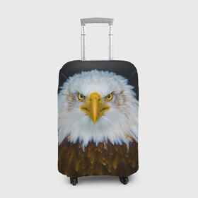 Чехол для чемодана 3D с принтом Белоголовый орлан в Кировске, 86% полиэфир, 14% спандекс | двустороннее нанесение принта, прорези для ручек и колес | грозный | красивый | опасный | орлан | пернатый | птица | хищный