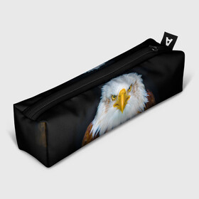 Пенал школьный 3D с принтом Белоголовый орлан в Кировске, 100% полиэстер | плотная ткань, застежка на молнии | Тематика изображения на принте: грозный | красивый | опасный | орлан | пернатый | птица | хищный
