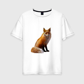 Женская футболка хлопок Oversize с принтом лиса в Кировске, 100% хлопок | свободный крой, круглый ворот, спущенный рукав, длина до линии бедер
 | животное | зверь | лисица | пушистая лисичка | хищник