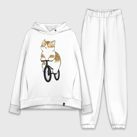 Женский костюм хлопок Oversize с принтом Котик на велосипеде в Кировске,  |  | арт | велосипед | ветер | кот | котёнок | кошка | милая кошка | милый кот | милый котёнок | отдых | отдыхает | пончик | рисунок