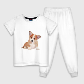 Детская пижама хлопок с принтом Fluffy Corgi в Кировске, 100% хлопок |  брюки и футболка прямого кроя, без карманов, на брюках мягкая резинка на поясе и по низу штанин
 | corgi | dog | fluffy | puppy | корги | милый | пушистый | собака | щенок