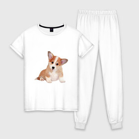 Женская пижама хлопок с принтом Fluffy Corgi в Кировске, 100% хлопок | брюки и футболка прямого кроя, без карманов, на брюках мягкая резинка на поясе и по низу штанин | corgi | dog | fluffy | puppy | корги | милый | пушистый | собака | щенок
