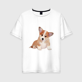 Женская футболка хлопок Oversize с принтом Fluffy Corgi в Кировске, 100% хлопок | свободный крой, круглый ворот, спущенный рукав, длина до линии бедер
 | corgi | dog | fluffy | puppy | корги | милый | пушистый | собака | щенок
