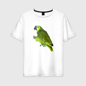 Женская футболка хлопок Oversize с принтом Попугайчик в Кировске, 100% хлопок | свободный крой, круглый ворот, спущенный рукав, длина до линии бедер
 | bird | parrot | wings | крылья | попугай | птица