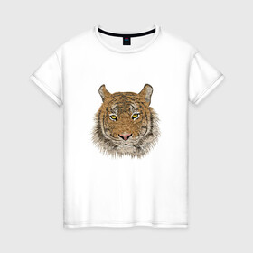 Женская футболка хлопок с принтом Тигр в Кировске, 100% хлопок | прямой крой, круглый вырез горловины, длина до линии бедер, слегка спущенное плечо | animal | big cat | tiger | зверь | крупная кошка | тигр