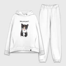 Женский костюм хлопок Oversize с принтом Кот с вопросом в Кировске,  |  | cat | cute | inscription | philosopher | question | surprise | tricolor | вопрос | кот | кошка | милый | надпись | трехцветный | удивление | философ