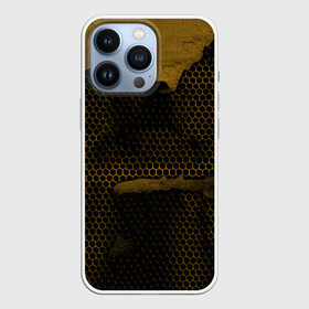 Чехол для iPhone 13 Pro с принтом Pittsburgh Penguins на спине в Кировске,  |  | canada | ice | nhl | pittsburgh penguins | sport | usa | зима | канада | лед | малкин | пингвины | питсбург | спорт | сша | хоккей | шайбу