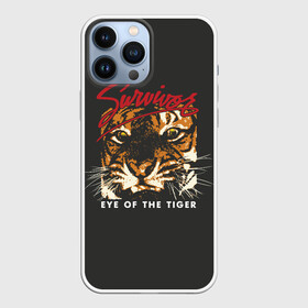 Чехол для iPhone 13 Pro Max с принтом Глаз Тигра в Кировске,  |  | eye of the tiger | hardrock | music | rock | tiger | глаз тигра | музыка | рок | тигр | хардрок