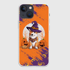 Чехол для iPhone 13 mini с принтом КОРГИ НА ХЭЛЛОУИНЕ в Кировске,  |  | corgi | halloween | haloween | корги | пёс | рыжая | рыжая собака | собака | собакен | собачка | собачуха | хеллоин | хеллоуин | хелоин | хелоуин | хэллоин | хэллоуин | хэлоин | хэлоуин