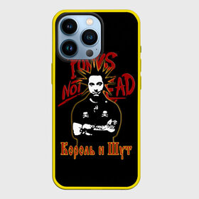 Чехол для iPhone 13 Pro с принтом Punks Not Dead (КиШ) в Кировске,  |  | Тематика изображения на принте: anarchy | hard rock | heavy metal | punk rock | punks not dead | rock music | rocknroll | russian rock | анархия | горшок | князь | король и шут | металлист | михаил горшенёв | панк | панк рок | рок музыка | рокер | рокнролл | русский рок