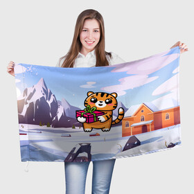 Флаг 3D с принтом Новогодний тигренок с подарком в Кировске, 100% полиэстер | плотность ткани — 95 г/м2, размер — 67 х 109 см. Принт наносится с одной стороны | 2022 | год тигра | новый год | новый год 2022 | символ года | тигр | тигренок | тигрица | тигры
