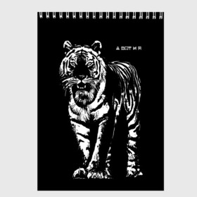 Скетчбук с принтом А вот и я, бандерлоги в Кировске, 100% бумага
 | 48 листов, плотность листов — 100 г/м2, плотность картонной обложки — 250 г/м2. Листы скреплены сверху удобной пружинной спиралью | 2022 | and here i am | big cat | came | new year | predator | tiger | year of the tiger | а вот и я | большая кошка | год тигра | новый год | пришел | тигр | хищник