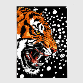 Постер с принтом Амурский тигр и снегопад в Кировске, 100% бумага
 | бумага, плотность 150 мг. Матовая, но за счет высокого коэффициента гладкости имеет небольшой блеск и дает на свету блики, но в отличии от глянцевой бумаги не покрыта лаком | 2022 | amur tiger | beast | grin | new year | night | open mouth | predator | profile | snowfall | winter | year of the tiger | амурский тигр | год тигра | зверь | зима | новый год | ночь | оскал | открытая пасть | профиль | снегопад | хищник
