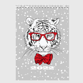 Скетчбук с принтом Белый тигр с красным бантом в Кировске, 100% бумага
 | 48 листов, плотность листов — 100 г/м2, плотность картонной обложки — 250 г/м2. Листы скреплены сверху удобной пружинной спиралью | Тематика изображения на принте: 2022 | animal | fangs | merry christmas | new year | predator | red bow | severe grin | snow | white water tiger | winter | year of the tiger | белый водяной тигр | год тигра | зверь | зима | клыки | красный бант | новый год | очки | снег | суро