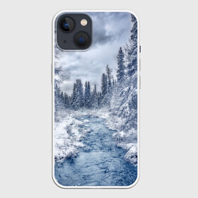 Чехол для iPhone 13 с принтом СНЕЖНЫЙ ПЕЙЗАЖ в Кировске,  |  | Тематика изображения на принте: fores | ice | snow | white | winter | белый | вода | зима | иней | красота | лед | лес | мороз | небо | новый год | пейзаж | природа | река | ручей | снег