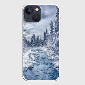 Чехол для iPhone 13 mini с принтом СНЕЖНЫЙ ПЕЙЗАЖ в Кировске,  |  | fores | ice | snow | white | winter | белый | вода | зима | иней | красота | лед | лес | мороз | небо | новый год | пейзаж | природа | река | ручей | снег