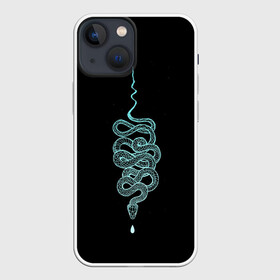 Чехол для iPhone 13 mini с принтом вьющаяся змея в Кировске,  |  | animal | blue | curly | dangerous | deadly | ghostly | phobia | reptile | snake | вьющаяся | голубая | животное | змея | опаснавя | призрачная | фобия